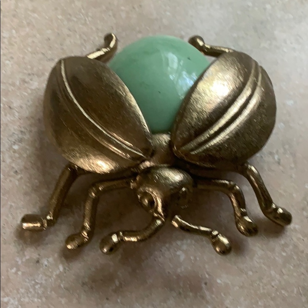 Large decorative bug beetle insect